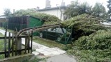 Burza w Gnieźnie: Komunikat Enea w związku z brakiem prądu [AKTUALIZACJA]
