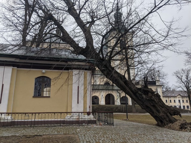 Drzewo runęło na kaplicę św. Anny w Kalwarii Pacławskiej.