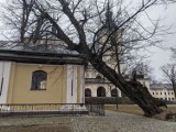 Ogromne drzewo runęło na kaplicę św. Anny w Kalwarii Pacławskiej [ZDJĘCIA]