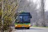 Poznań - W piątek autobusy i tramwaje kursują zgodnie z sobotnim rozkładem jazdy