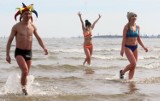 Akcja WWF na sopockiej plaży. Ułożyli wielkiego morświna! [WIDEO, ZDJĘCIA] 