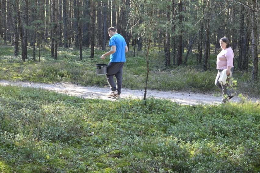 Grzybobranie mieszkańców Domu Pomocy Społecznej w Skrzynnie