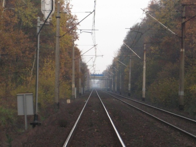 Linia CE 59 (Zielona Góra Las Wschodni)