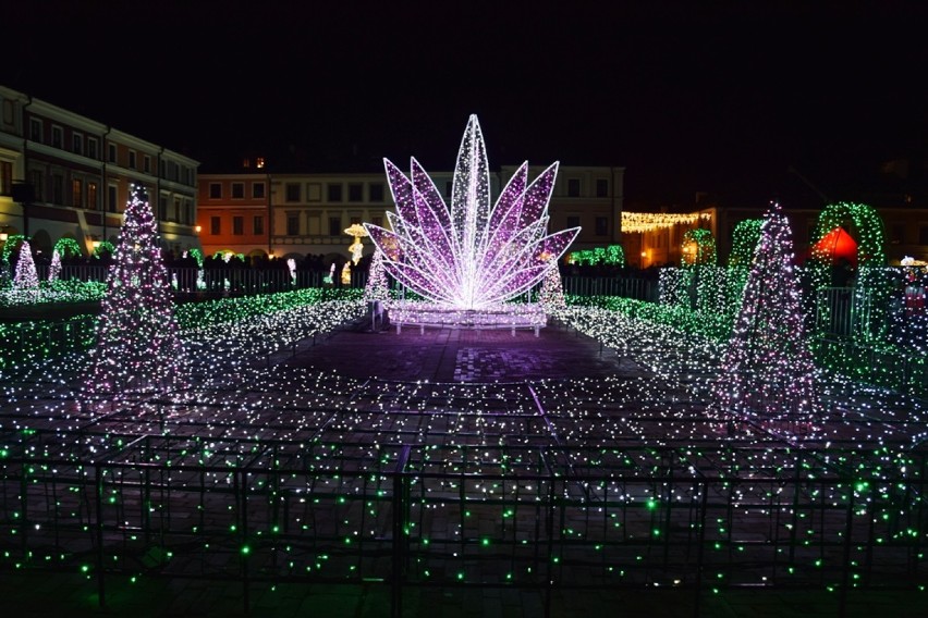 Zamość powitał zimę widowiskowymi iluminacjami