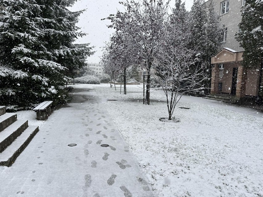 W Koninie spadł pierwszy śnieg. Jaka pogoda w najbliższych dniach? Będzie chłodno i mokro 