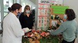 Wystawa grzybów w chełmskim sanepidzie. Zobacz zdjęcia z wystawy