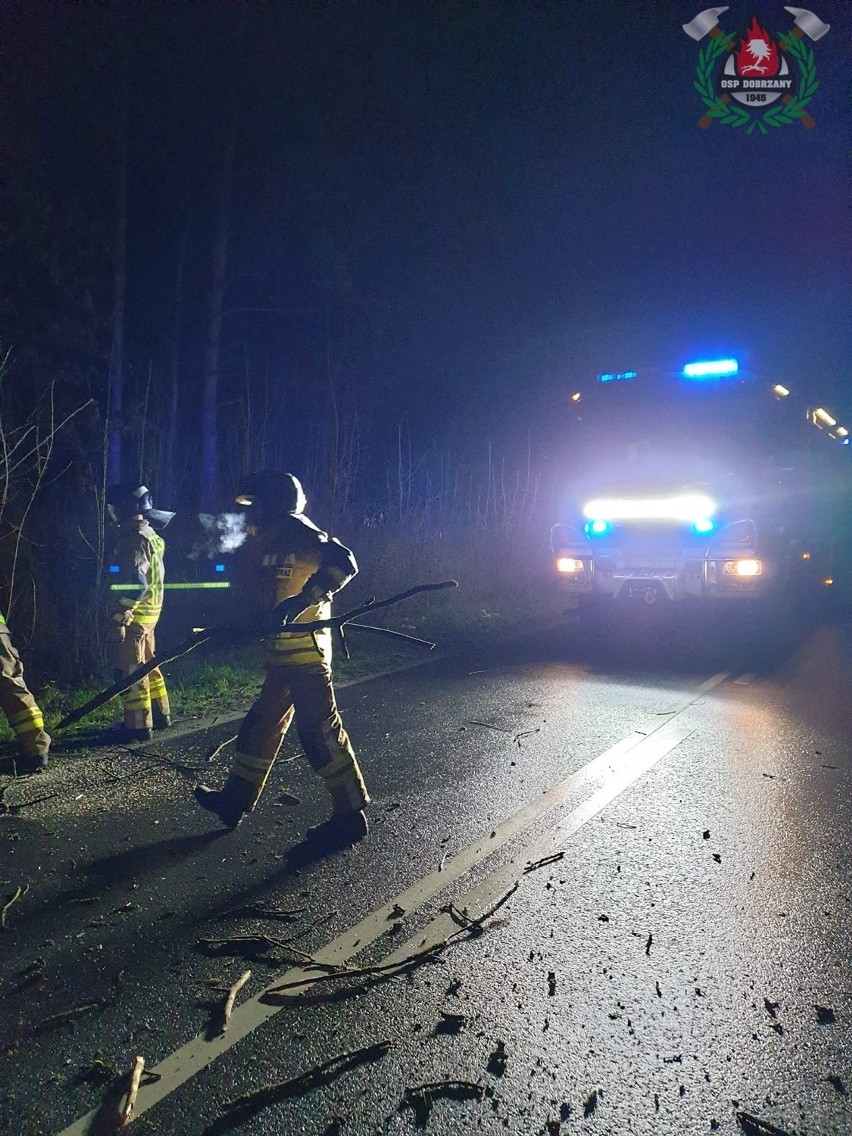 OSP Dobrzany: w nocy usuwaliśmy powalone na drogę drzewo