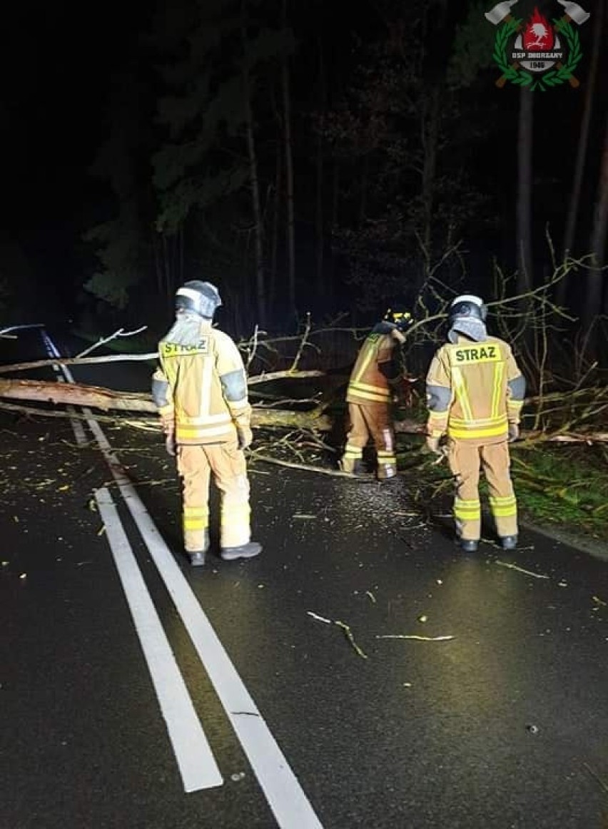 OSP Dobrzany: w nocy usuwaliśmy powalone na drogę drzewo