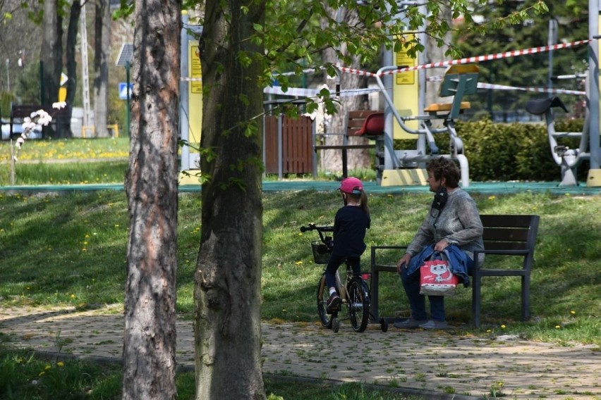 Tłumy w parku i nad zalew w Jędrzejowie. Tak korzystamy w wolności (DUŻO ZDJĘĆ)