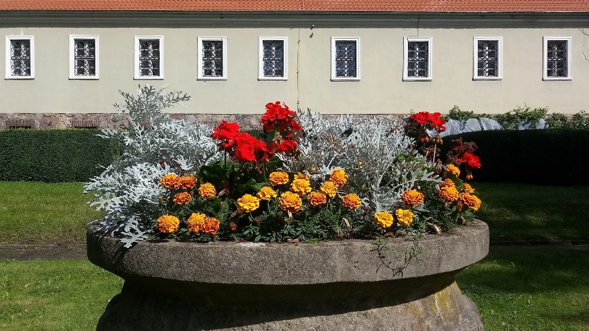 Park przy muzeum gotowy na jesień