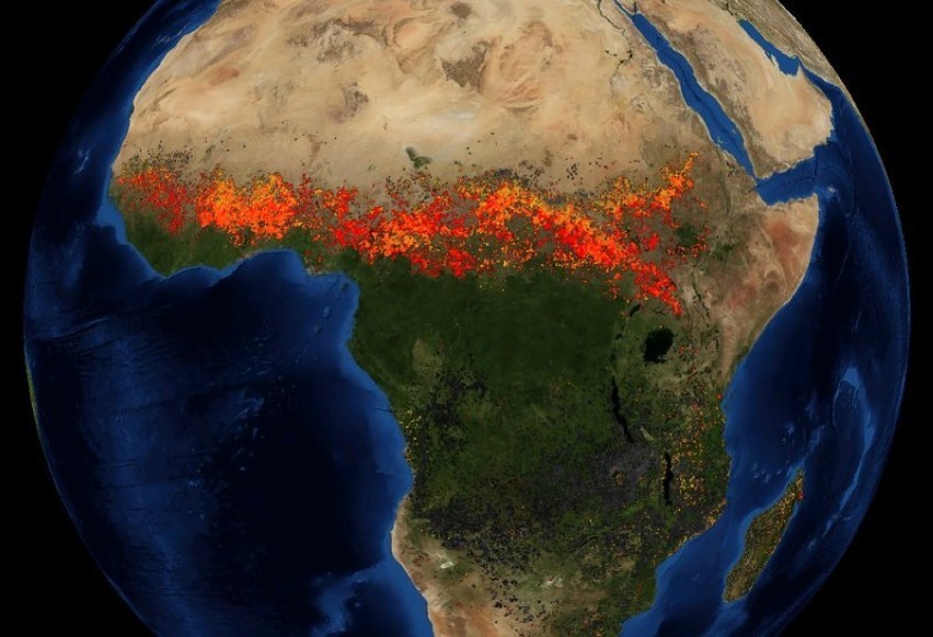 Pożary w Afryce w roku 2002