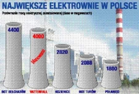 INFOGRAFIKA MACIEJ DUDZIK