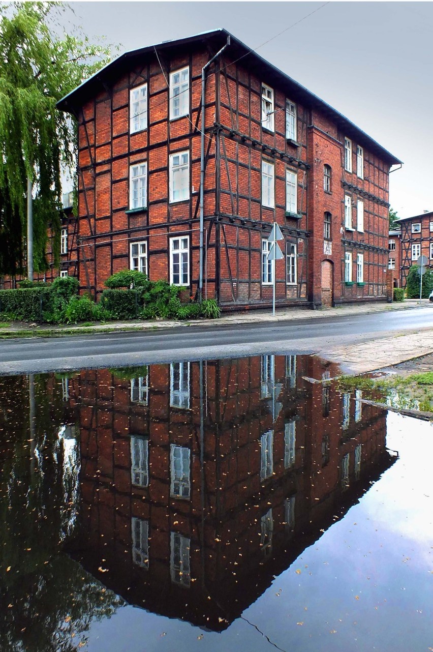 Bocianowo i Londynek w obiektywie Andrzeja Mazieca