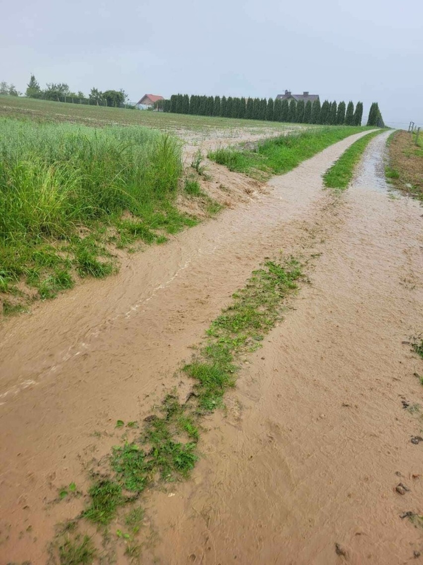 Pogotowie przeciwpowodziowe w gminie Iwkowa, w wyniku poniedziałkowych opadów ucierpiała też Lipnica Murowana