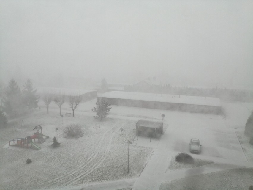 Znów burza śnieżna w Zduńskiej Woli 20.01.2022