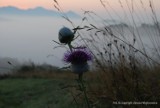 Magiczne Pieniny - jesienne mgły