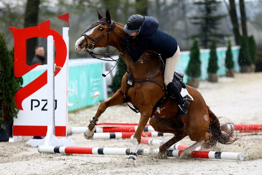 Zawody CSI2* Bogusławice 2021 w skokach przez przeszkody....