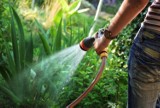 W Nowej Karczmie wprowadzono zakaz podlewania ogródków wodą z wodociągu. Sprawdź, w jakich godzinach