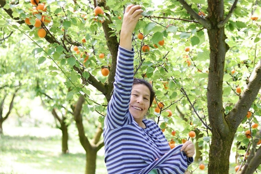 To nie tylko bomba witamin, ale również przeciwutleniaczy,...