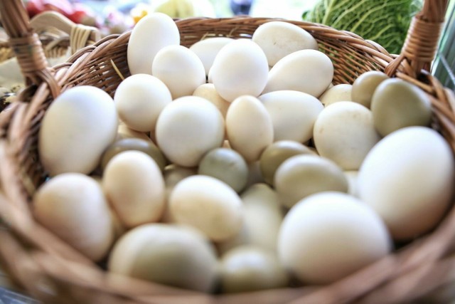 Od maleńkich jajek przepiórczych po ogromne jaja strusie można kupić prosto z gospodarstwa.
