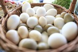 Jajka na Wielkanoc z wolnego wybiegu. Ile kosztują kurze, przepiórcze i strusie prosto z gospodarstwa rolnego?