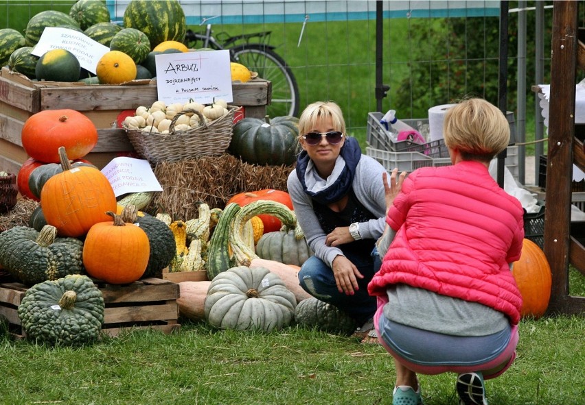 Jesienna edycja Darów Ziemi w Gdyni  jak co roku przyciąga...