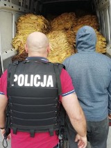 Przechwycili prawie 1,5 tony nielegalnego tytoniu. Kontrabanda odbywała się w okolicach Wróblewa, w powiecie sieradzkim (ZDJĘCIA)