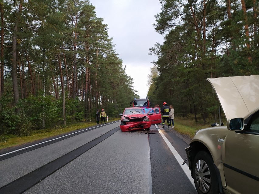 Wypadek we Fryszerce między Inowłodzem a Poświętnem. Czołowe zderzenie dwóch samochodów. Jedna osoba ranna [ZDJĘCIA]