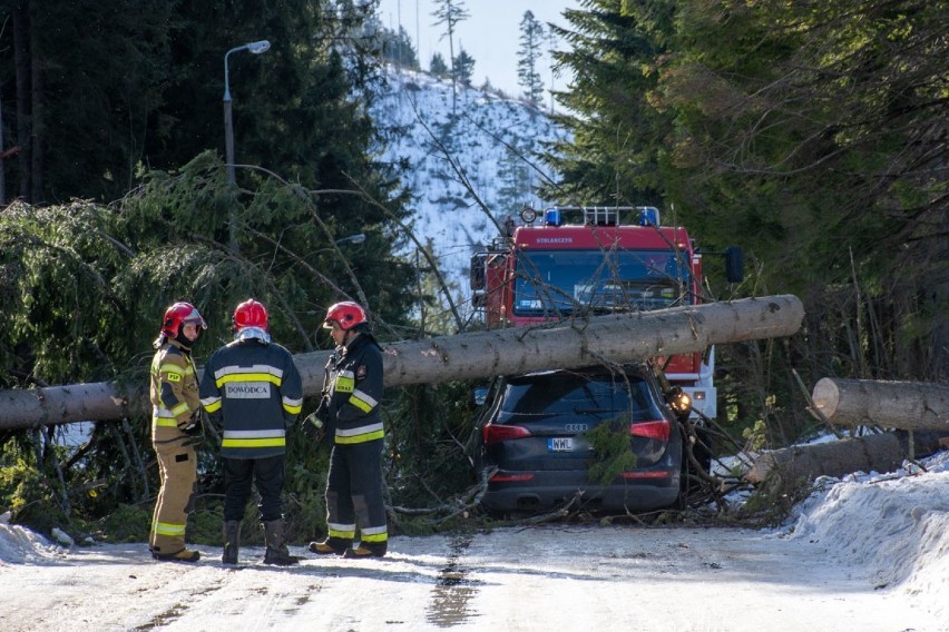 Kościelisko. To mogła być kolejna tragedia. Drzewo runęło na auto [ZDJĘCIA]