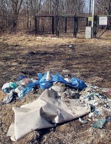 Ekologiczny patrol - Zniknęły śmieci wokół Cmentarza Komunalnego