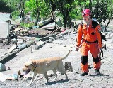 Nowy Sącz: psy uratują strażaków z MGPR