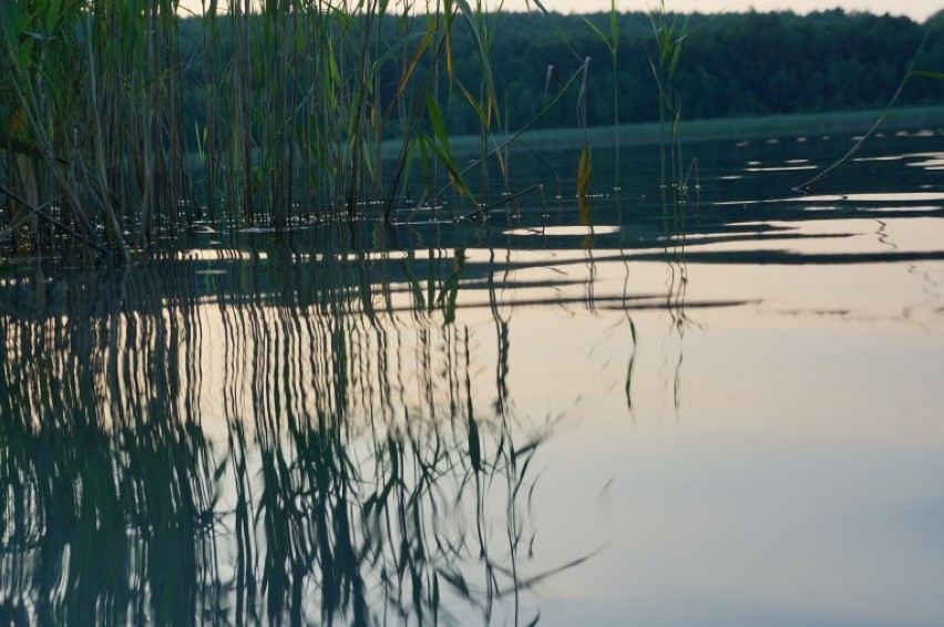 Jezioro Budzisławskie