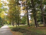 Zobaczcie, jaka piękna jesień jest w parku w Cieplicach. Nie siedźcie w domu. Idźcie na spacer (FOTO)