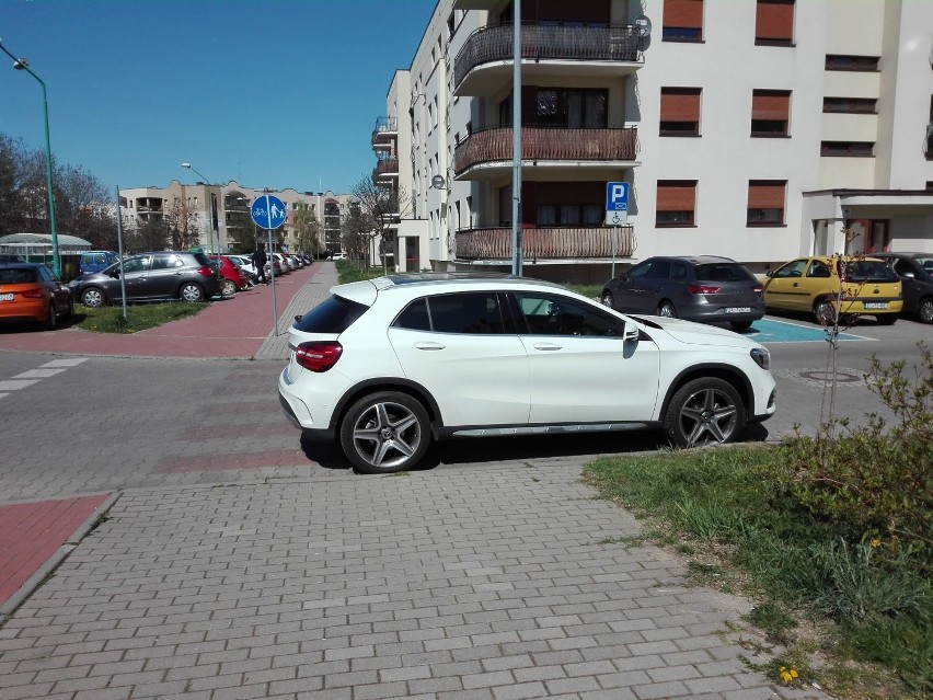 Mistrz parkowania w Legnicy -  2020