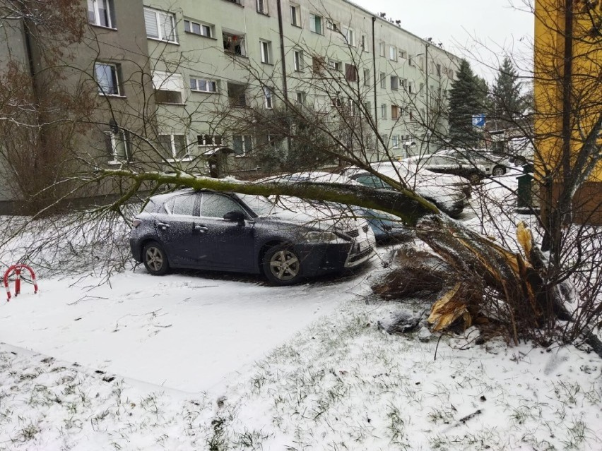 Wichury i śnieżna burza w woj. śląskim. Uszkodzone dachy, połamane drzewa, jedna osoba ranna