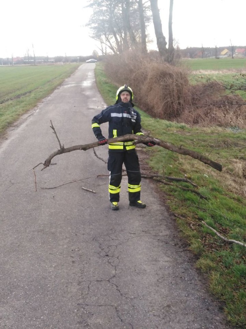 Wezwali strażaków z OSP do powalonego drzewa. Na drodze leżała... gałąź