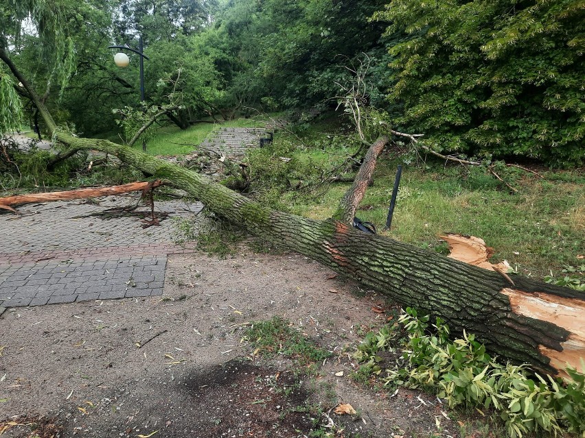 Burze na Mazowszu. Połamane drzewa, zalana jezdnia S8 i...