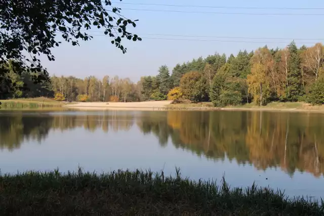 Starganiec czeka rewitalizacja. Władze Katowic, Mikołowa oraz przedstawiciele Lasów Państwowych podpisali w tej sprawie list intencyjny