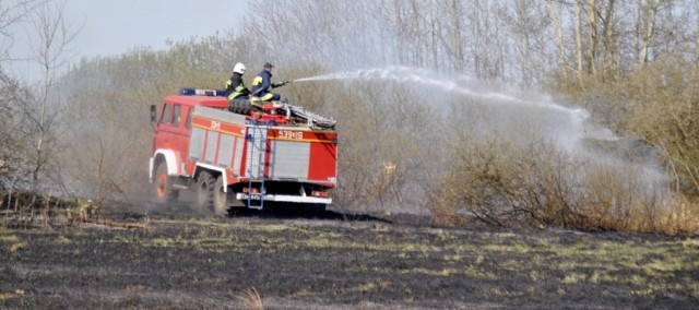 W Dzierlinie pożar traw objął powierzchnię 5 hektarów