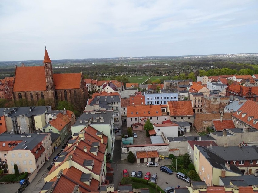 Takie widoki można zobaczyć z wieży widokowej chełmińskiej...