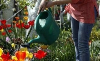 Zakaz podlewania ogródków w Sulejowie