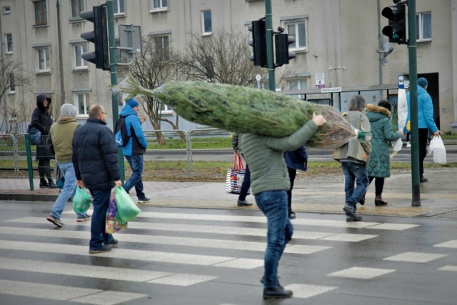 Sposobów na przeniesienie choinki z placu do mieszkania jest wiele. Oto jeden z nich