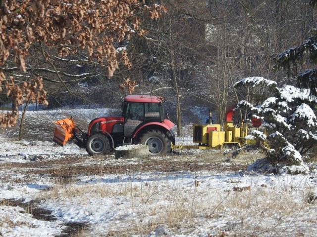 Tuż przy Parku Śląskim trwa wycinka drzew