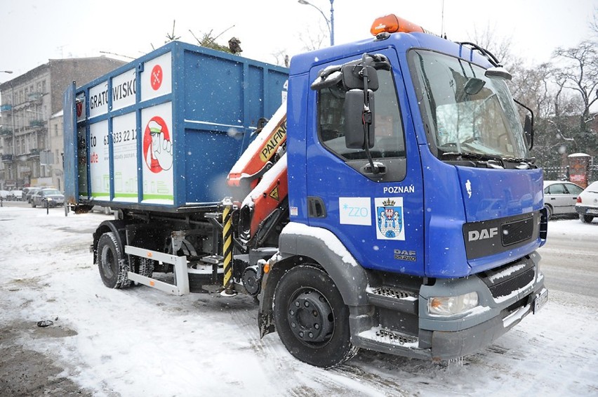 Akcja "Poznańskie choinki wracają do środowiska" na placu...