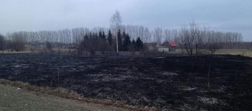 Pożar traw w Kłobucku. Bezmyślni ludzie niszczą środowisko! FOTO