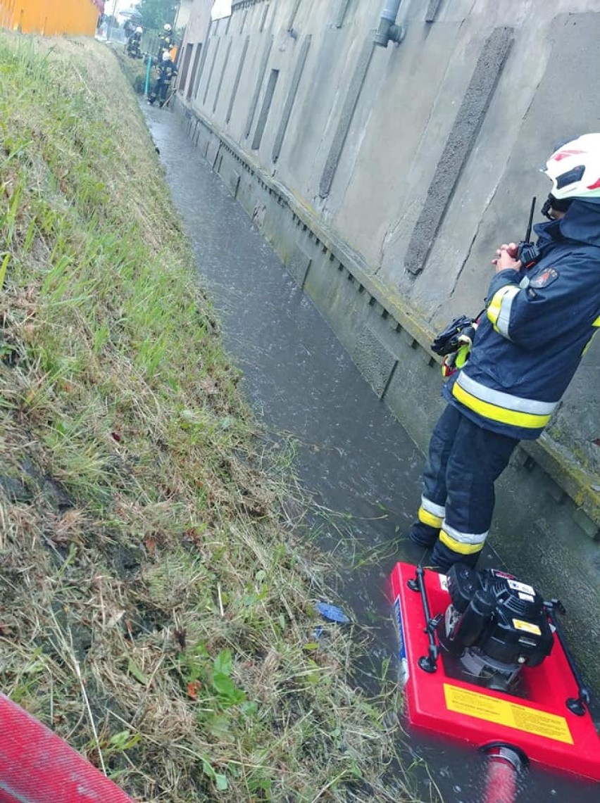 Zalane budynki i powalone drzewa. Zobacz zdjęcia ze strażackich interwencji