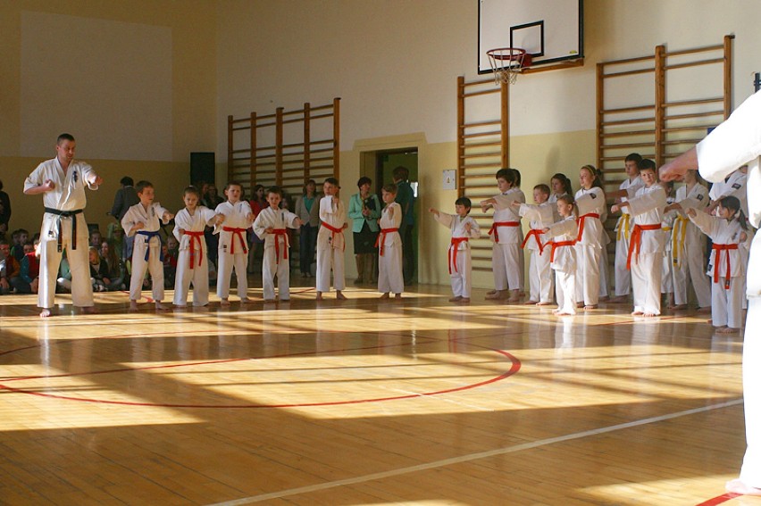 źródło: www.karate.limanowa.pl