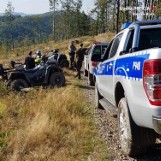 Senior zgubił się podczas grzybobrania. Szukali go rodzina, policja i strażnicy leśni