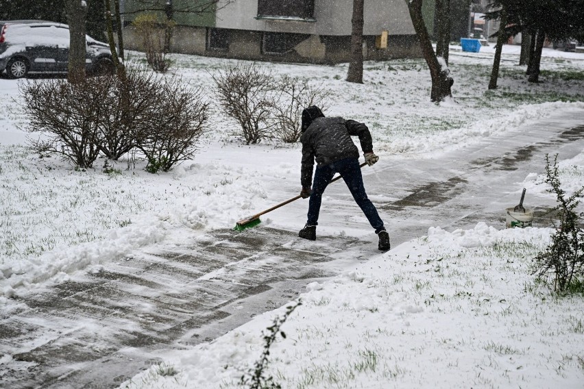 Opady śniegu w Przemyślu, 6 bm. Instytut Meteorologii i...