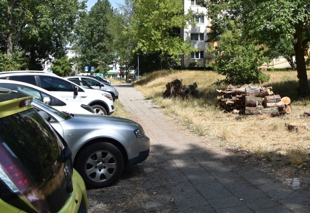 Zielonogórska policja szuka złodzieja